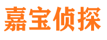 东风市侦探公司